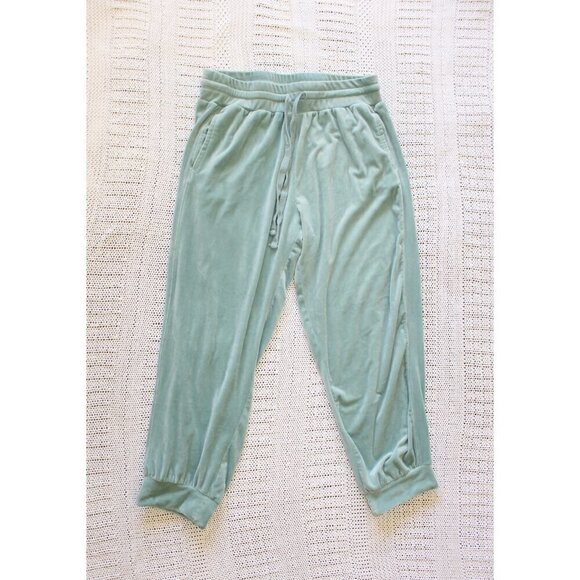 Anthropologie Saturday Sunday Merida Velvet Jogger Pants Size L Mint Green - Picture 5 of 11